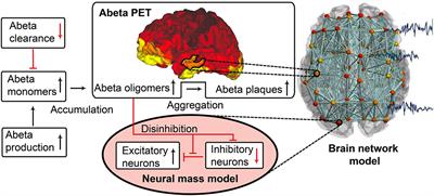 Linking Molecular Pathways and Large-Scale Computational Modeling to Assess Candidate Disease Mechanisms and Pharmacodynamics in Alzheimer's Disease